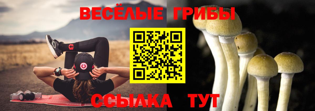 Псилоцибиновые грибы Magic Shrooms  Вход с VPN  Протвино 